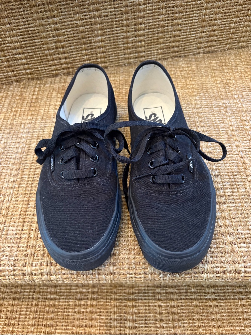 Vans Black Canvas Low-Top Skater Sneakers